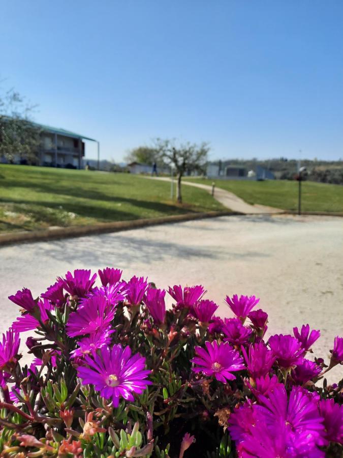 Villaggio Esmera 데센자노델가르다 외부 사진